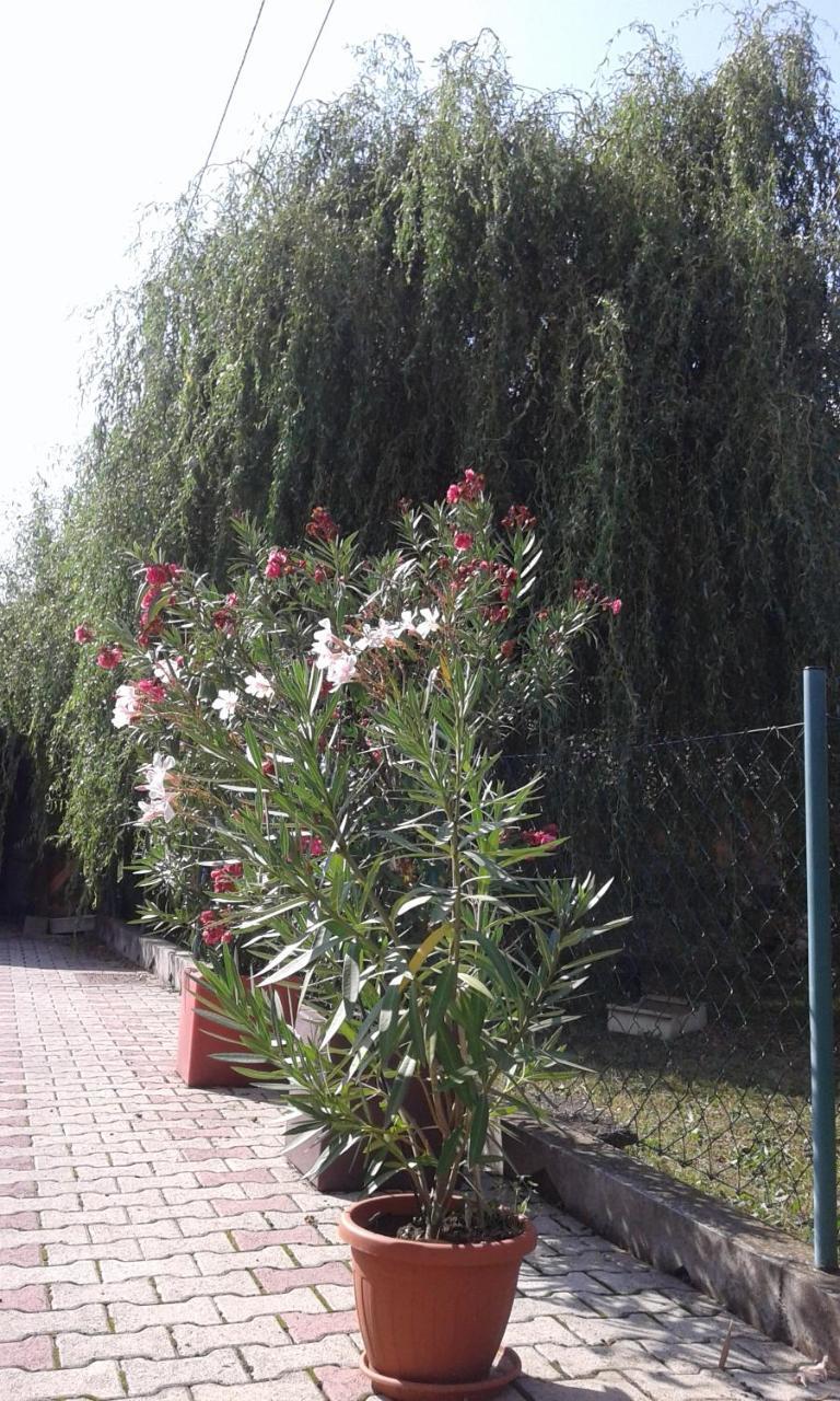 Apartman Andelina วรินรัชกา บานยา ภายนอก รูปภาพ